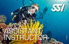 SSI 